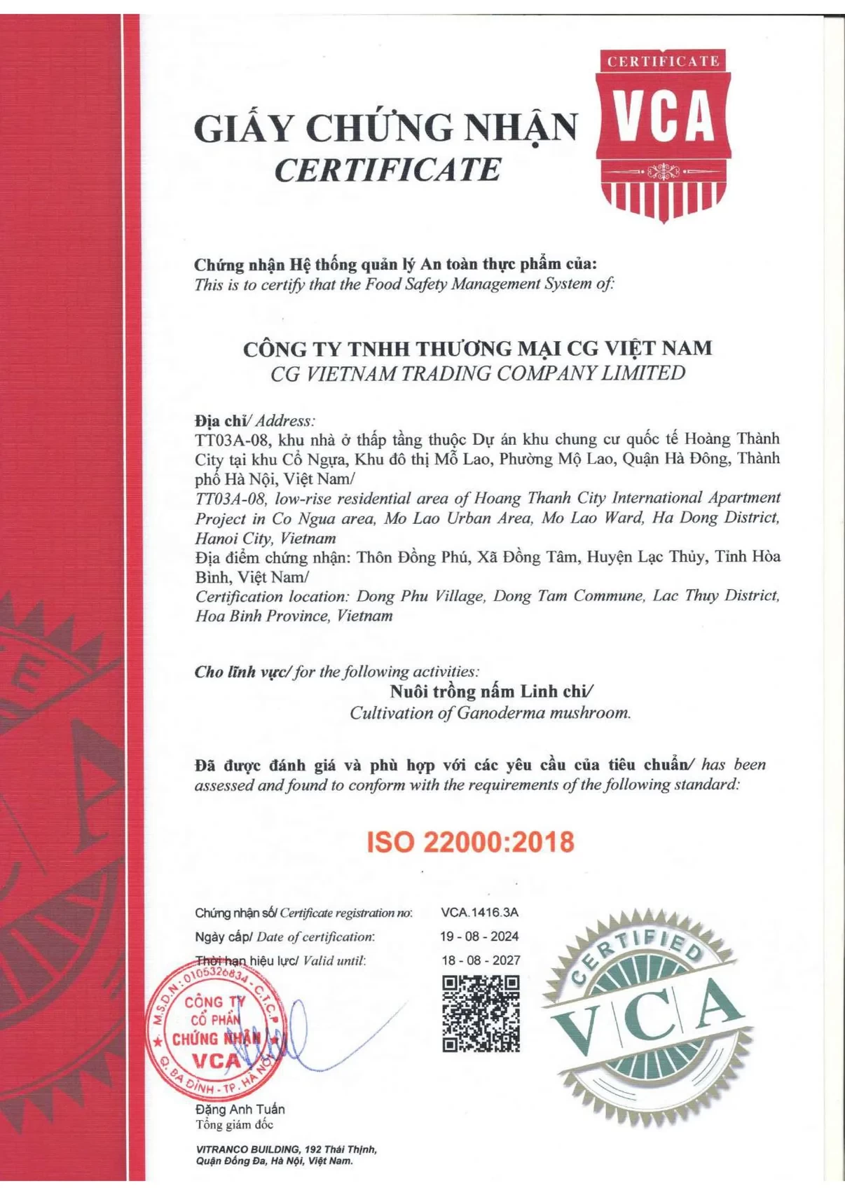 Linh Chi Nhất Long - Hỗ trợ tốt cho người mỡ máu, hỗ trợ ổn định đường huyết, huyết áp